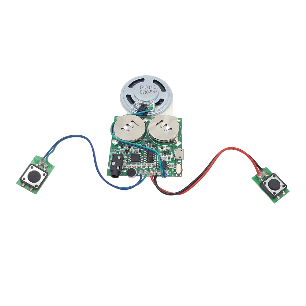 120 Seconds Recording Module w/ Microphone or Line in Recording