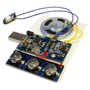 75 Second USB Recording Module (Windows)