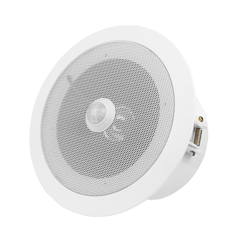 Overhead PIR Motion Sensor Activated Audio Player