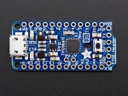 Adafruit Pro Trinket - 3V 12MHz