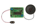 VOICE RECORDING/PLAYBACK MODULE